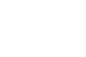 Human Record Logo