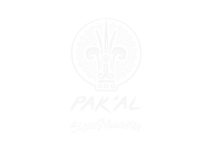 Pakal Logo
